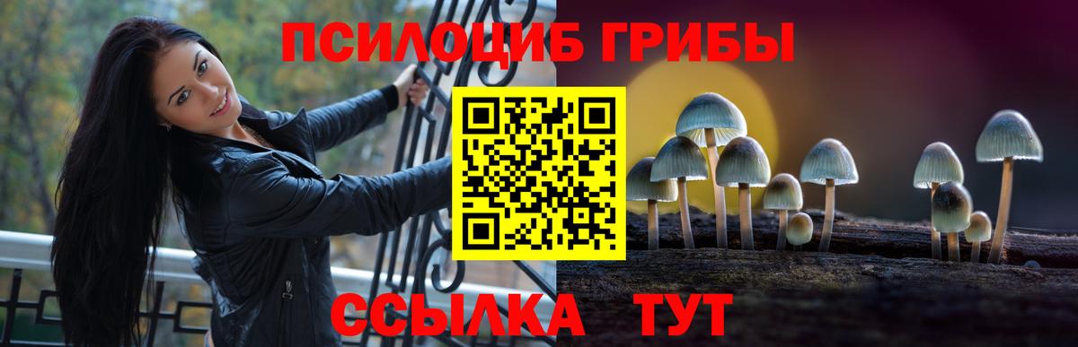 Псилоцибиновые грибы Psilocybe Малоярославец